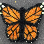 Monarch Butterfly